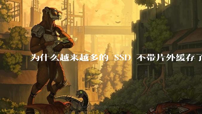为什么越来越多的 SSD 不带片外缓存了？